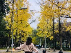 -四川大学(望江校区)