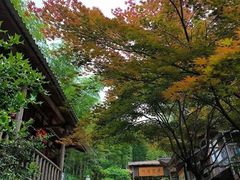 -宁波浙东大竹海景区