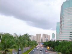 -万绿园