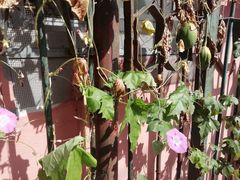 -蒲黄榆(地铁站)