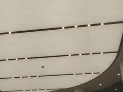 -Apple零售店(济南恒隆广场店)