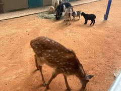 -昆明动物园