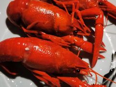高压锅蒸大虾-蚝翅·海鲜粥·烧烤·宁夏滩羊季(玉米楼店)