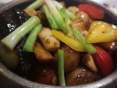砂锅姜葱海参-广州塔晖粤轩中餐厅