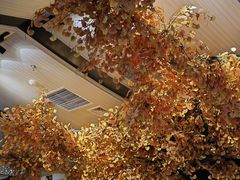 -青水瓦台汤泉(未央店)