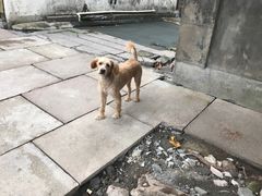 -蒋氏故居