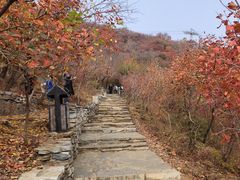 -周口店坡峰岭风景区