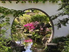 -上海醉白池公园