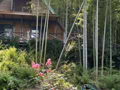 -天目湖山水园