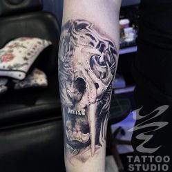 -见雾TATTOO STUDIO