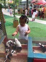 -萌宠亲子动物乐园(槐房万达店)