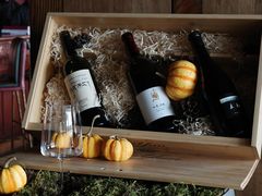 -松赞香格里拉林卡酒店