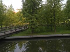 -泰州凤城河风景区-泰山公园