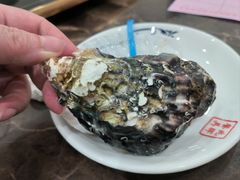 法国进口蚝皇刺身-蚝专家(北滘店)