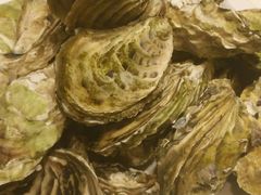 -双合园·海鲜水饺青岛菜(上清路店)