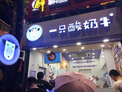门面-一只酸奶牛(八一路店)