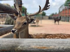 -鄂尔多斯野生动物园