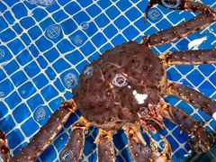 -三亚火车头万人海鲜广场