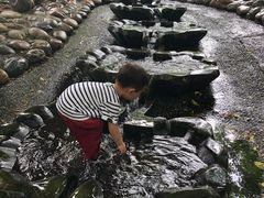-成都市活水公园