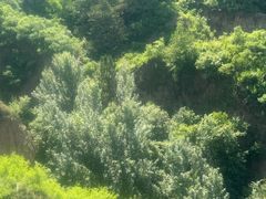 -磬锤峰森林公园