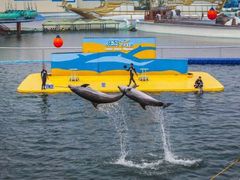 -秦皇岛乐岛海洋王国