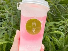 -树夏(建设路店)
