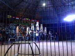 -清迈夜间动物园