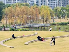 -牛岗山公园