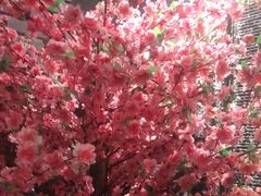 -富侨养生(康乾店)