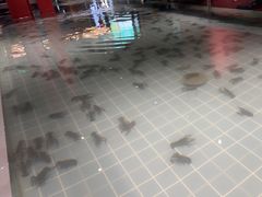 -虾胡闹龙虾馆(湄南河店)