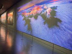 -罗红摄影艺术馆