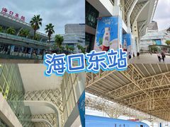 -海口东站