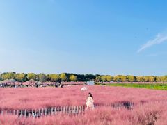 -嘉北郊野公园