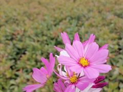 -郑东新区龙湖公共艺术中心