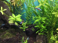 -多彩贵州城极地海洋世界