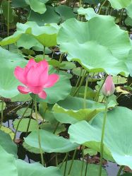 -大望京儿童游乐场