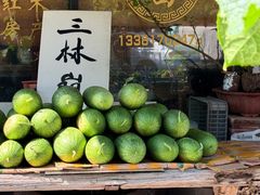 -三林塘老街