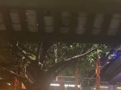 -绿茶餐厅(昆明世纪金源店)