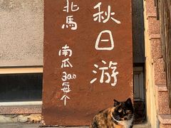 -北马山庄植趣咖啡