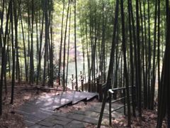 -江南天池