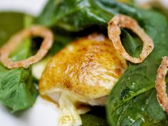 -Ocean's Table 欧舍