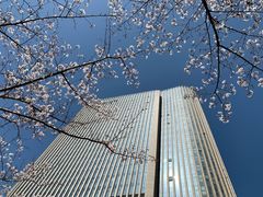 -无锡新湖铂尔曼大酒店