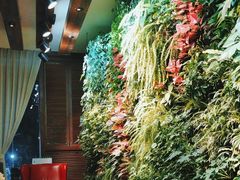 -泽云梵莲花足浴 按摩 SPA(滨湖店)
