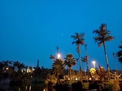 -枫香湖儿童公园