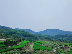 -牙胡梯田