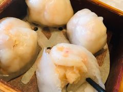 玉兰虾饺皇-玉兰苑(渔人码头店)