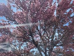 -蓝壁虎咖啡酒馆