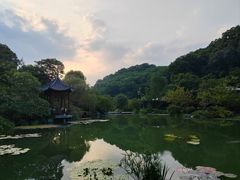 -云溪植物园