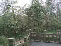 -外蒲山