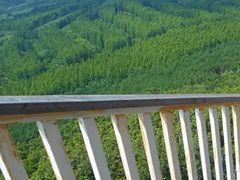 -帽儿山国家森林公园